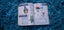 $1 RES 2015 Nintendo Pokemon Deluxe Essential Handbook Carousel 11