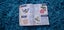 $1 RES 2015 Nintendo Pokemon Deluxe Essential Handbook Carousel 9