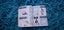 $1 RES 2015 Nintendo Pokemon Deluxe Essential Handbook Carousel 10