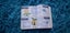 $1 RES 2015 Nintendo Pokemon Deluxe Essential Handbook Carousel 13