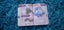 $1 RES 2015 Nintendo Pokemon Deluxe Essential Handbook Carousel 12