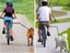 PTN NEW Dog Bike Leash Sale Sale Sale Carousel 10