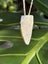 Pounamu Niho (Tooth) Pendant - Niho Marama Carousel 4