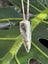 Pounamu Niho (Tooth) Pendant - Niho Marama Carousel 2