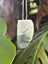 Pounamu Niho (Tooth) Pendant - Niho Whiti Carousel 1