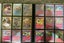 *$1 RES* Pokémon TCG Entire Trade Binder Carousel 15
