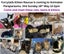 Kittens, teens & cats - Furrytails Kitten Rescue in Levin Carousel 1