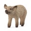 Schleich Mangalica Piglet Carousel 1