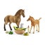 Loading Image 1 of 1