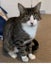 Tori - 1 yr + - Cat Care Loburn Carousel 1