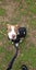 Sandy (Ellie's Canine Rescue & Rehome) Carousel 3
