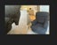 Loading Image 1 of 2