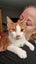 THE STREET CAT PROJECT - GOOSE - AVAILABLE FOR ADOPTION Carousel 4