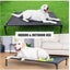Heavy Duty Pet Dog Bed Trampoline Hammock Canvas *76x61x18cm* BLACK Carousel 6