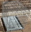 Pet Cage Carousel 2