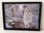 Loading Image 1 of 1
