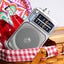 Panasonic RF-2400 Portable AM/FM Radio - Silver Carousel 4
