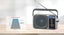 Panasonic RF-2400 Portable AM/FM Radio - Silver Carousel 5