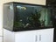FLUVAL FLEX 123ltr Aquarium Carousel 1