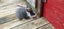 Baby Rabbits Carousel 6