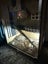 Bearded dragon lizard plus enclosures Carousel 6