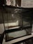 Bearded dragon lizard plus enclosures Carousel 9