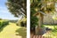 gallery view thumbnail