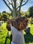 Baby Abyssinian Guinea Pigs Carousel 3