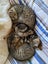 Lovely Cuddly Kittens, Tabby colours Carousel 2