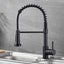 Kitchen Faucet with Pull Out Spray Spring Sink Kitchen Mixer Tap with Pull Do... Carousel 3
