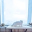 PTN NEW Cat Bed Sale Sale Carousel 5