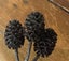 **mini pinecones for crafting** Carousel 3