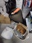 Self Storage Unit Contents - Household Lot Carousel 5