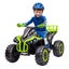 Electric Ride On Car Kids Vehicle Toy ATV Quad Bike 12V Green Carousel 13