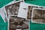 A fine set of "Palace Of Westminster " Photos with there original envelope. Carousel 2