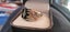 10ct Black Hills Gold Black Onyx & Diamond Ring Carousel 3