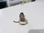 Audio-Technica AT32 MC Cartridge + MS-9 Headshell -- High end! Carousel 3