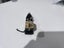 Audio-Technica AT33PTG Prestige MC Cartridge -- VERY RARE JAPAN ONLY!! Carousel 4