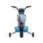 Kids Ride On Motorcycle Electric Toy Car 12V Battery Powered Motorbike Dirt Bike Carousel 13