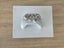 Xbox One X Console + Controller Carousel 2