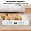 Pawz Pet Dog Calming Bed Orthopedic Egg Foam Sofa Mattress Waterproof Washable M Carousel 2