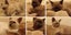 Loading Image 1 of 9