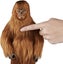 Loading Image 1 of 2