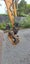 Hyundai excavator and truck Carousel 5