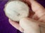 Wooden rounds for crafting Carousel 4