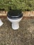 Toilet and basin Carousel 3