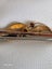 Victorian 9ct Gold Pink Stone and Seed Pearl Brooch 1.43gm Carousel 4