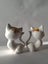 Vintage cat salt and pepper shakers Carousel 3