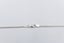 Stg Silver Curb Link Chain IRA46 Carousel 6