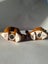 Vintage snail salt and pepper shakers Carousel 6